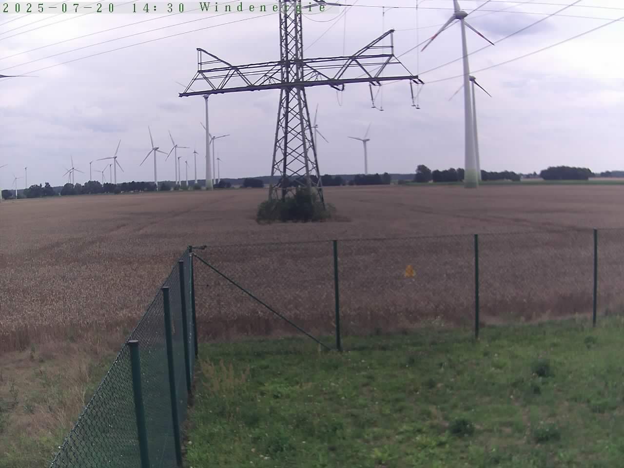 Bild 979
