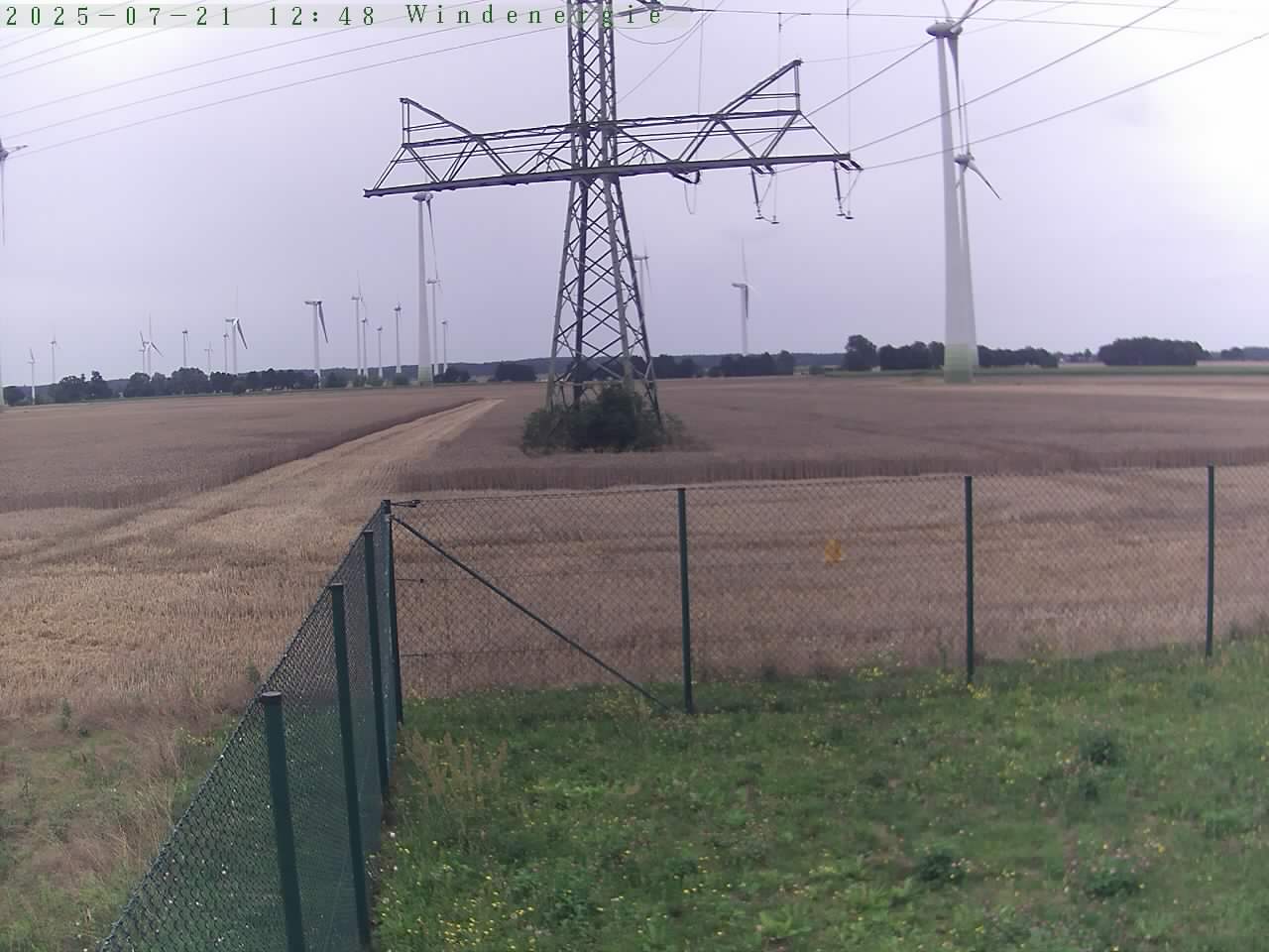 Bild 956