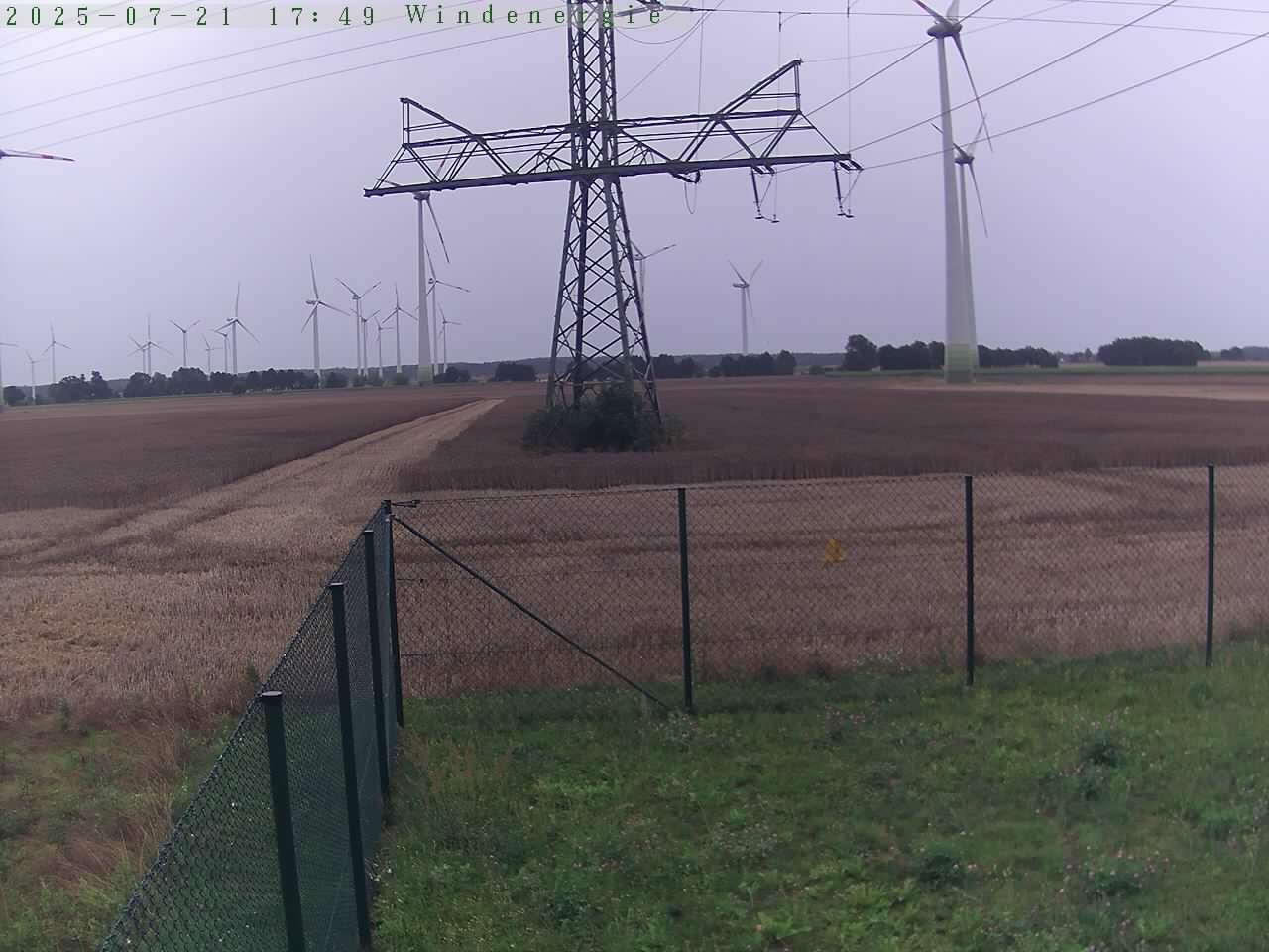 Bild 951