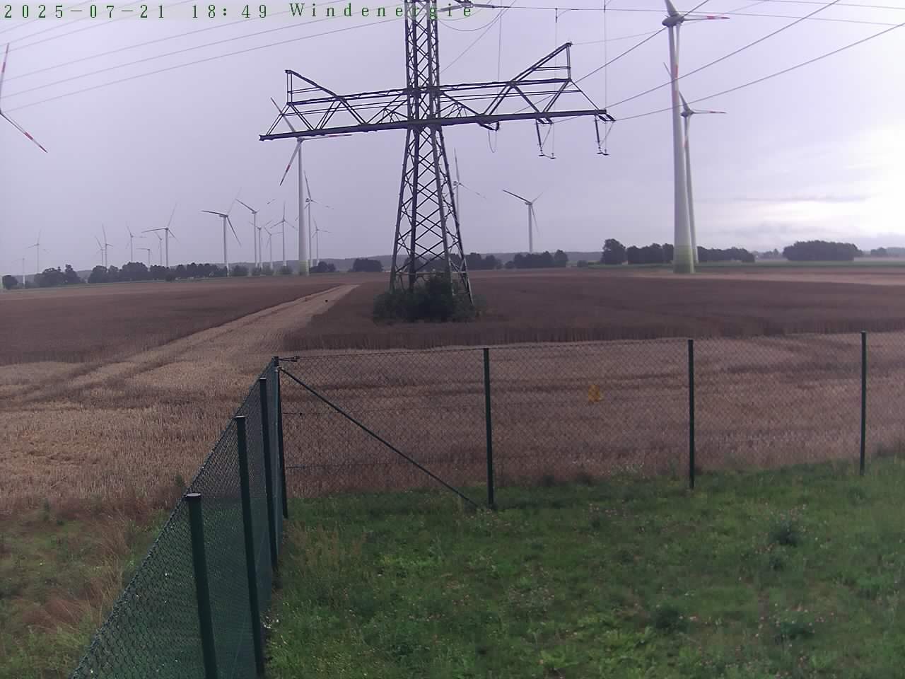 Bild 950