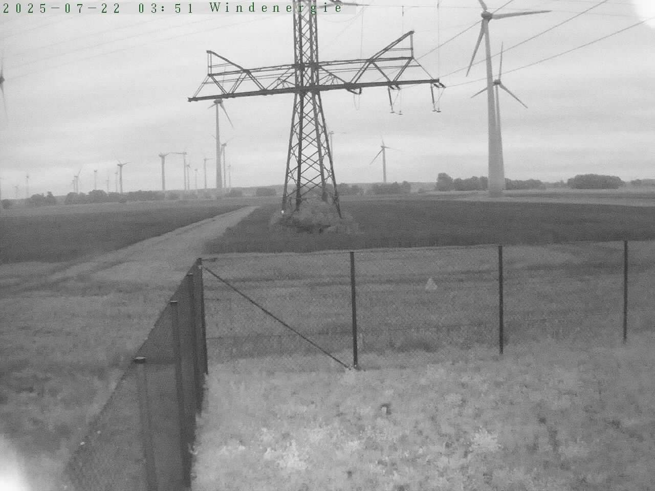 Bild 941