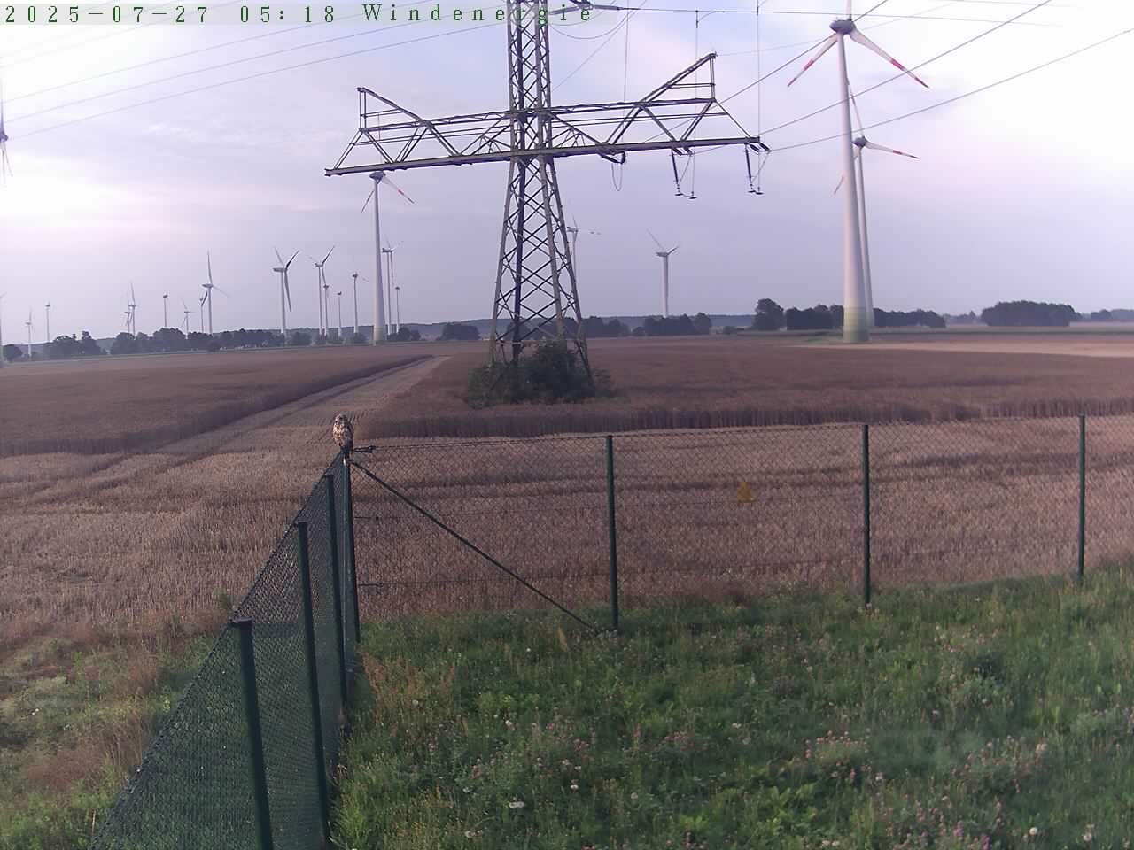 Bild 816