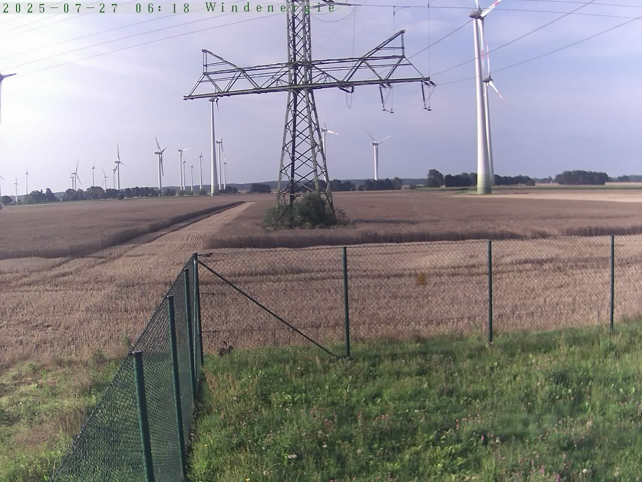 Bild 815