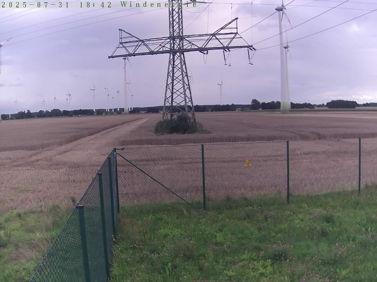 Bild 703