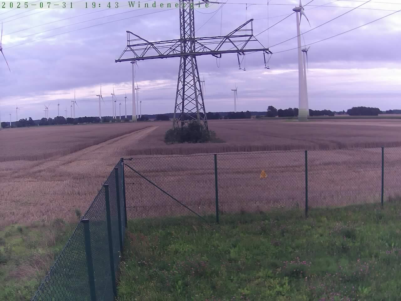 Bild 702