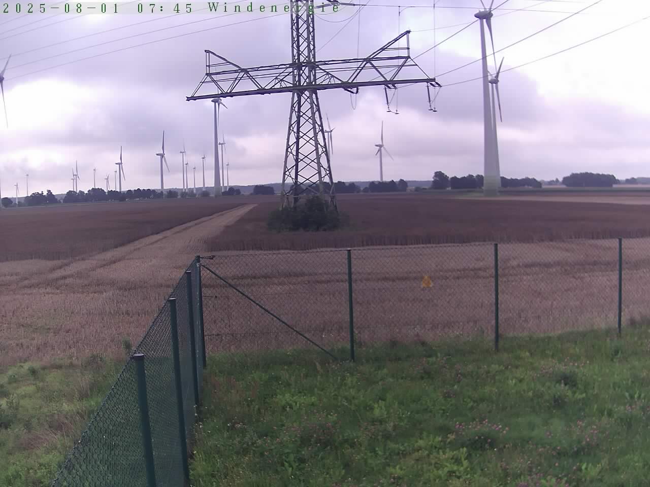 Bild 690