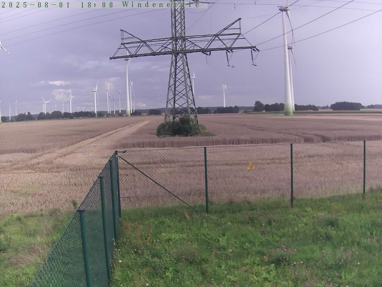 Bild 679