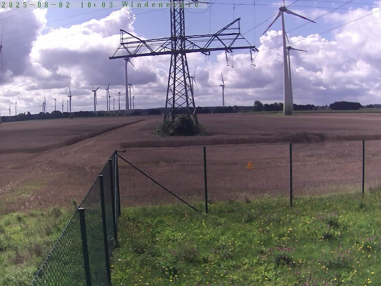 Bild 663
