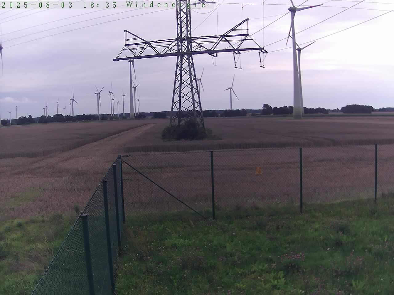 Bild 629