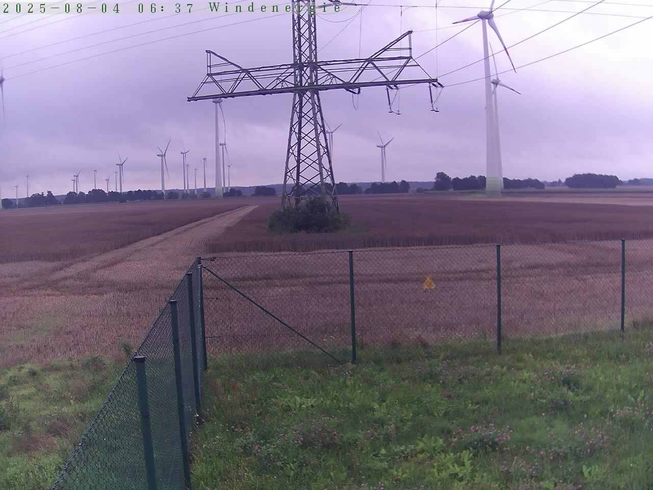 Bild 617
