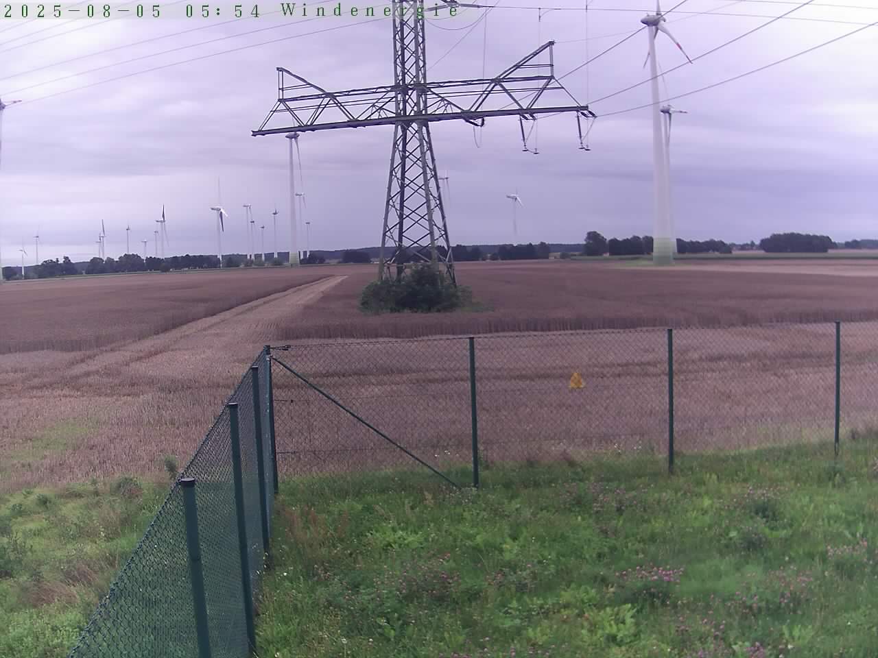 Bild 593