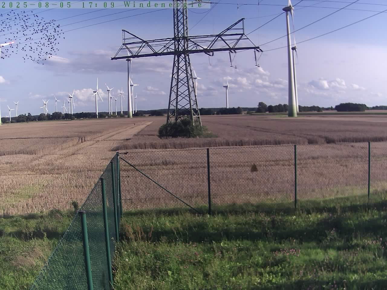 Bild 581