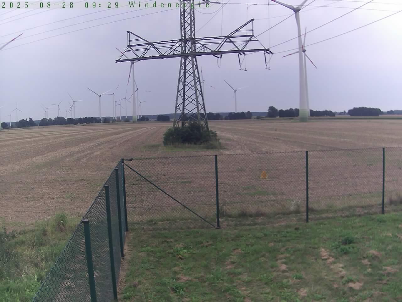 Bild 289