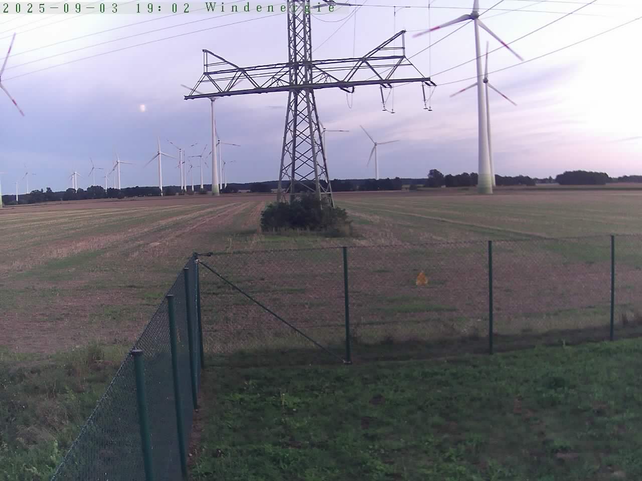 Bild 202