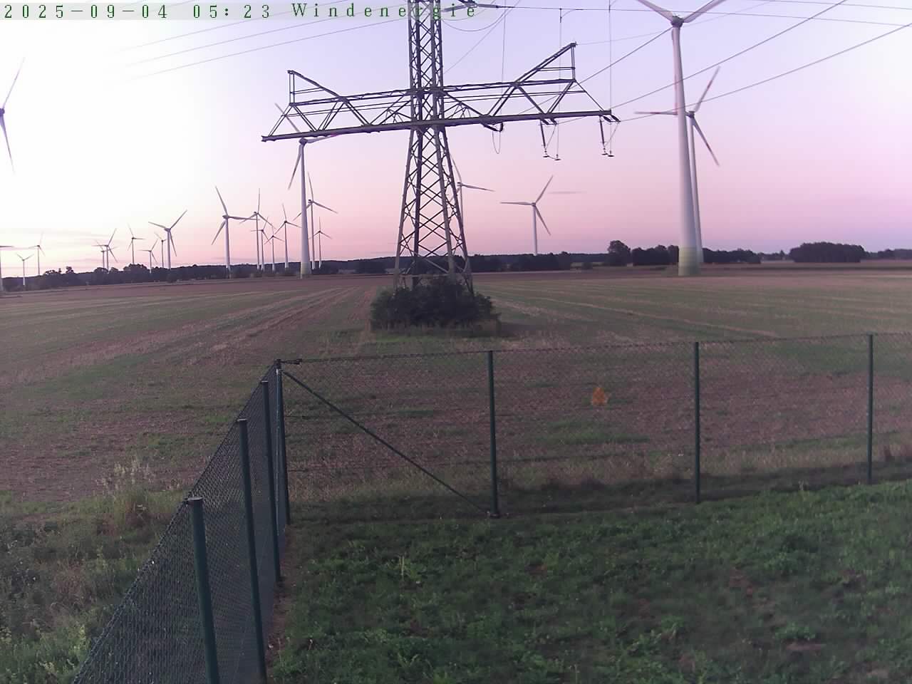 Bild 196