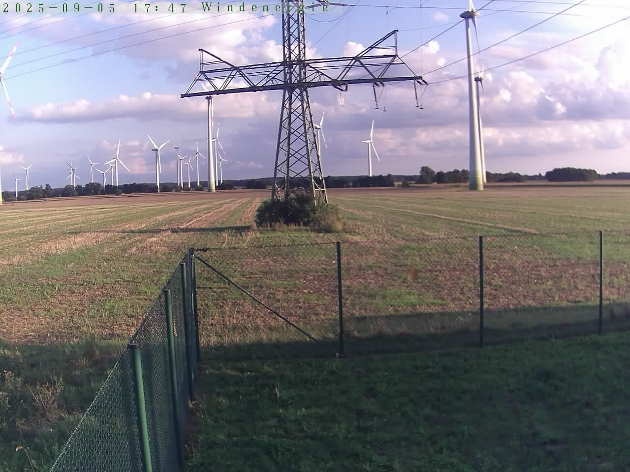Bild 176