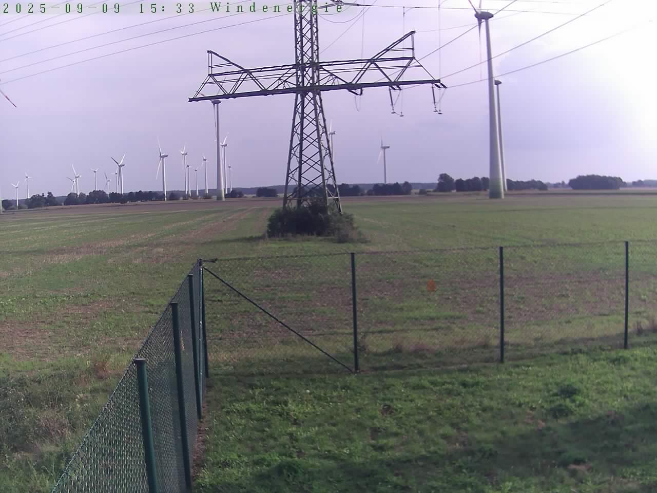 Bild 123