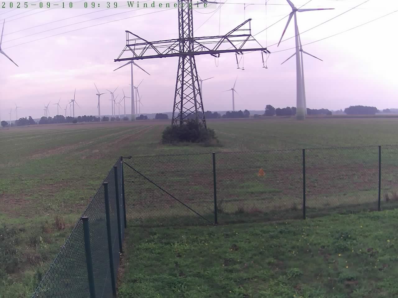 Bild 113