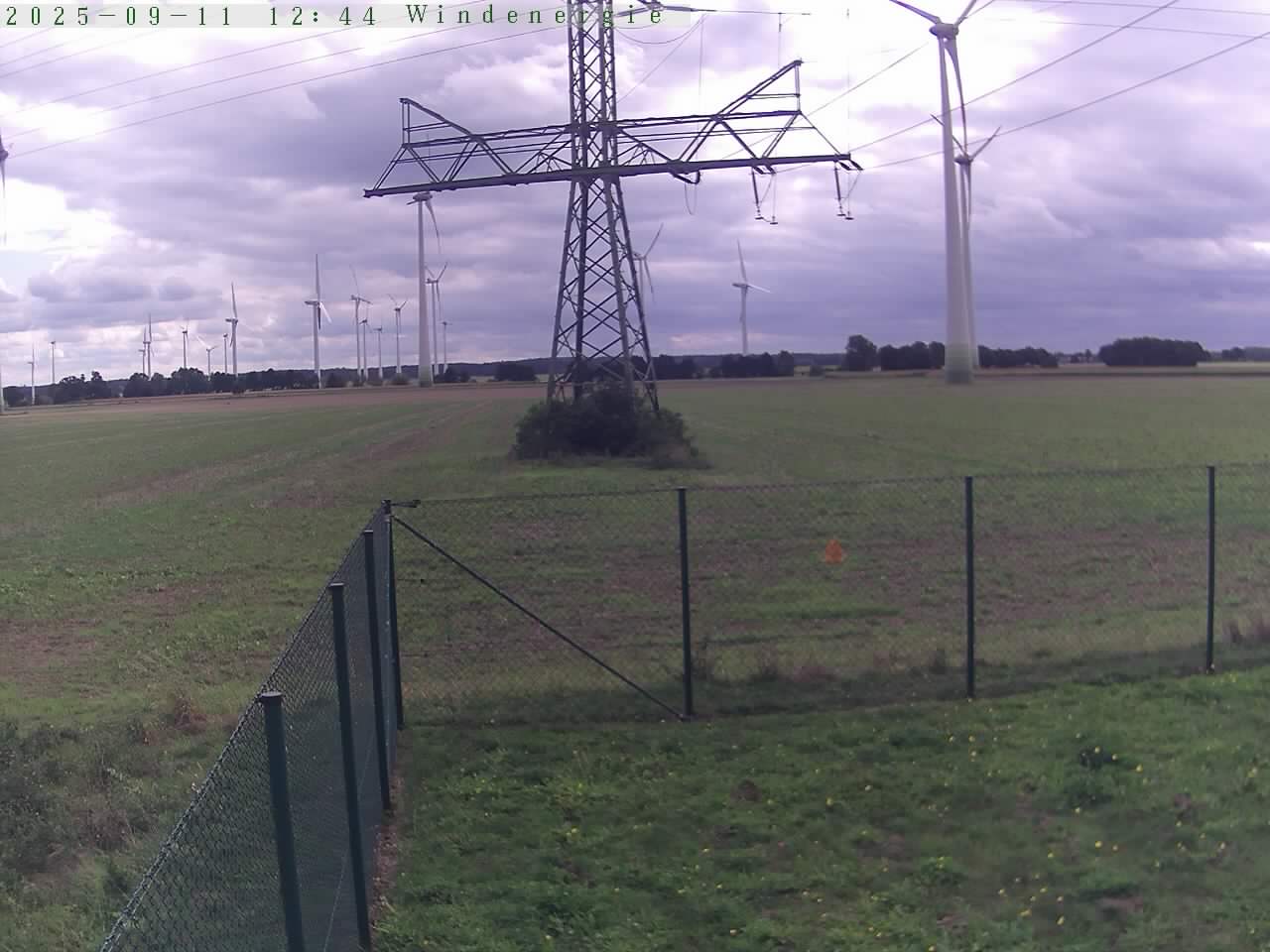 Bild 98