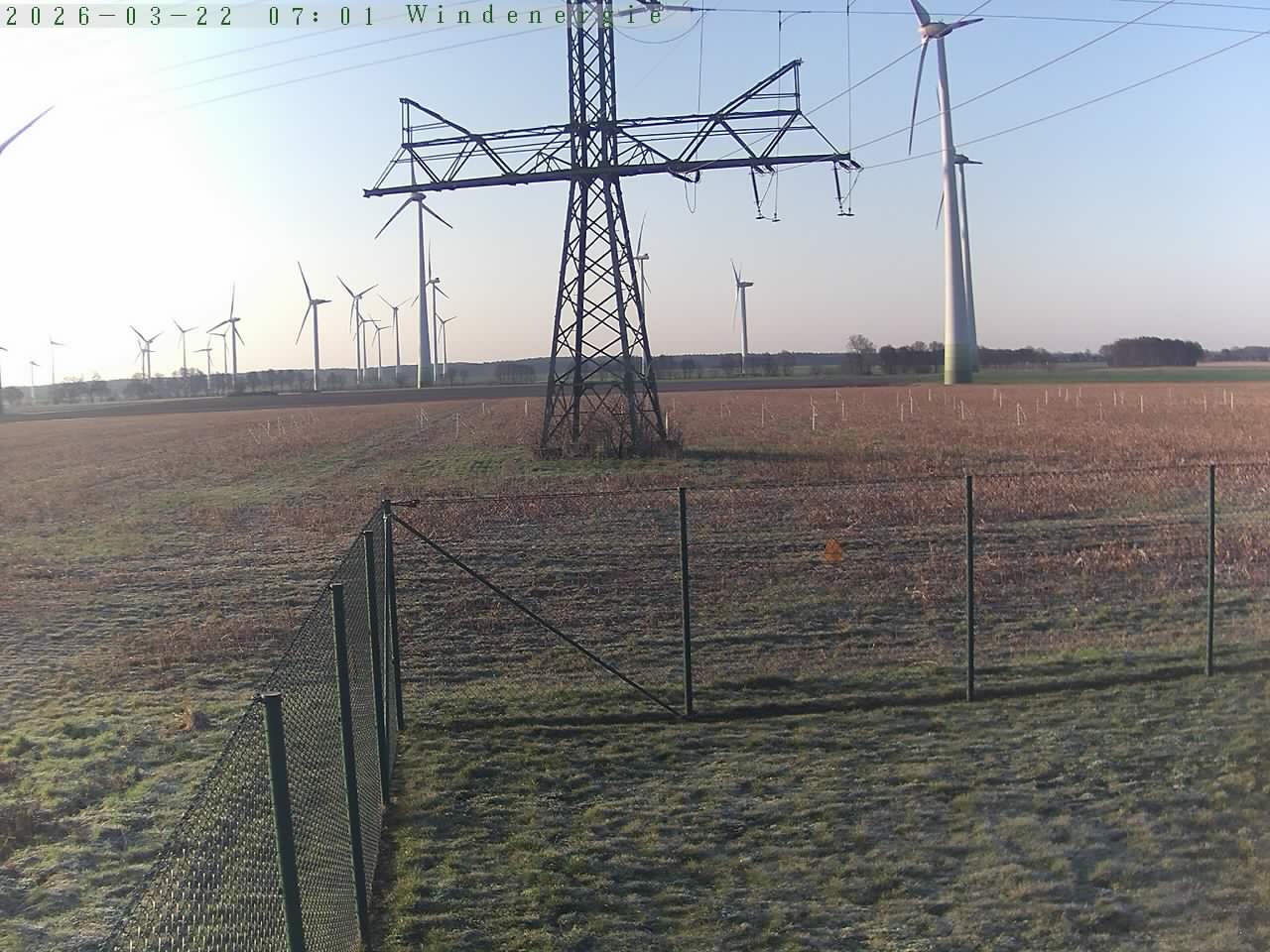 Bild 668