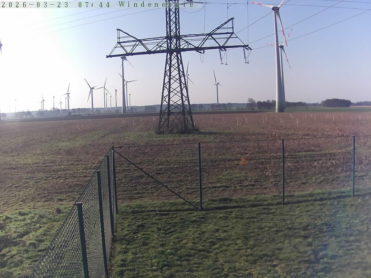 Bild 652