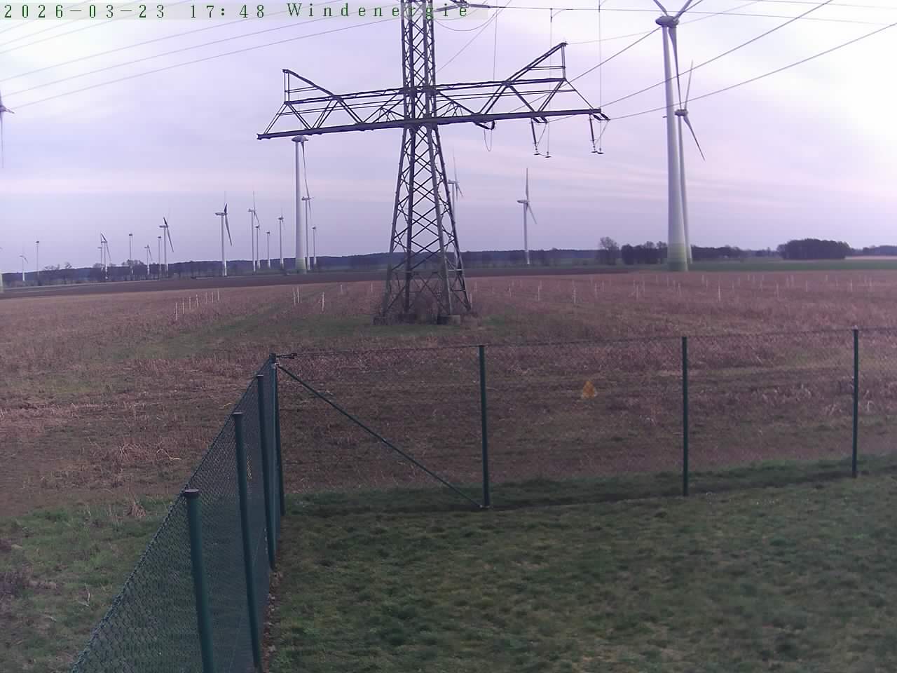 Bild 646