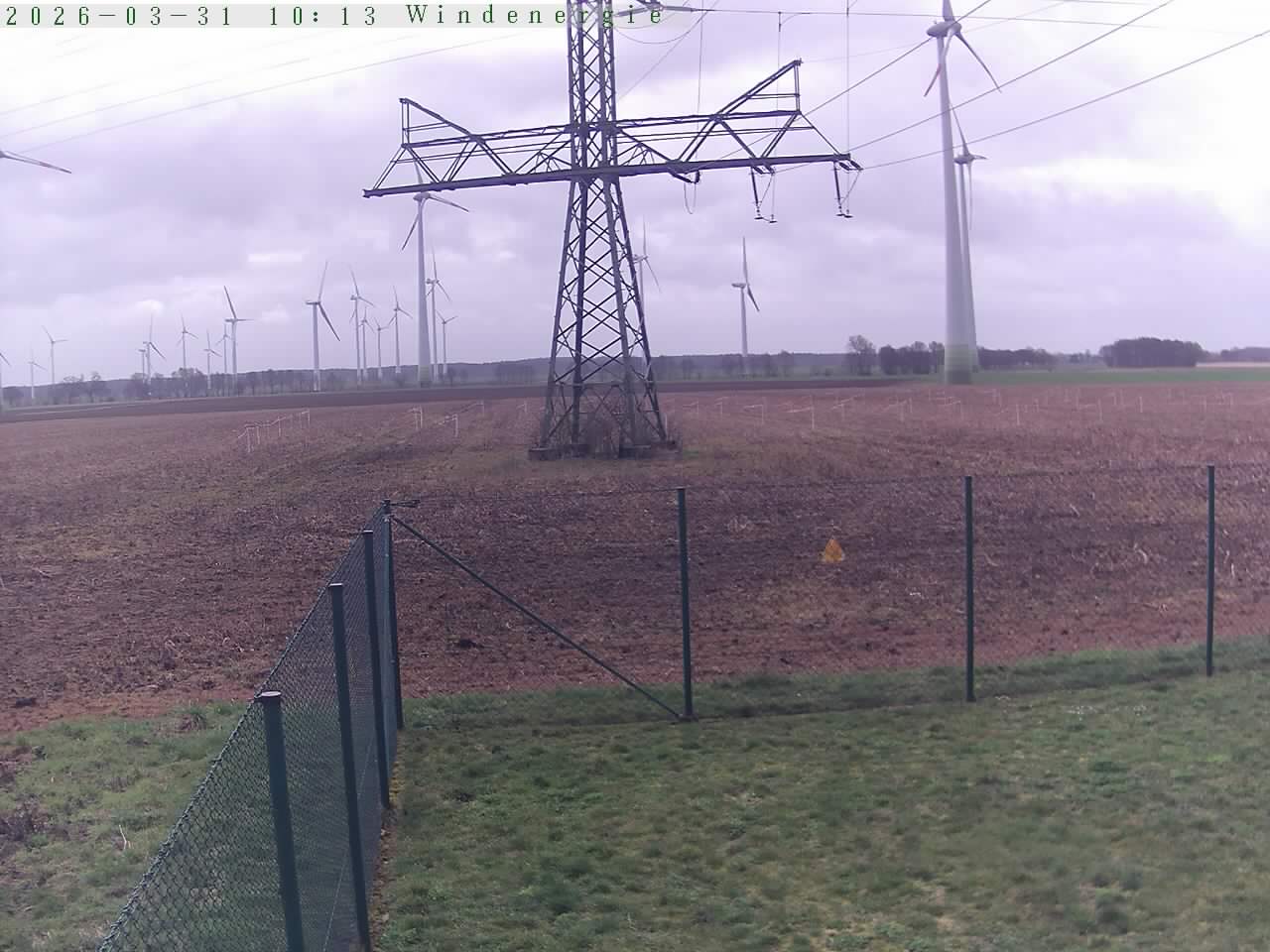 Bild 526