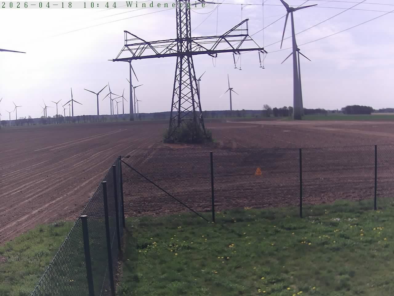 Bild 255