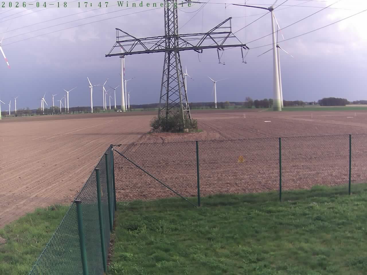 Bild 251