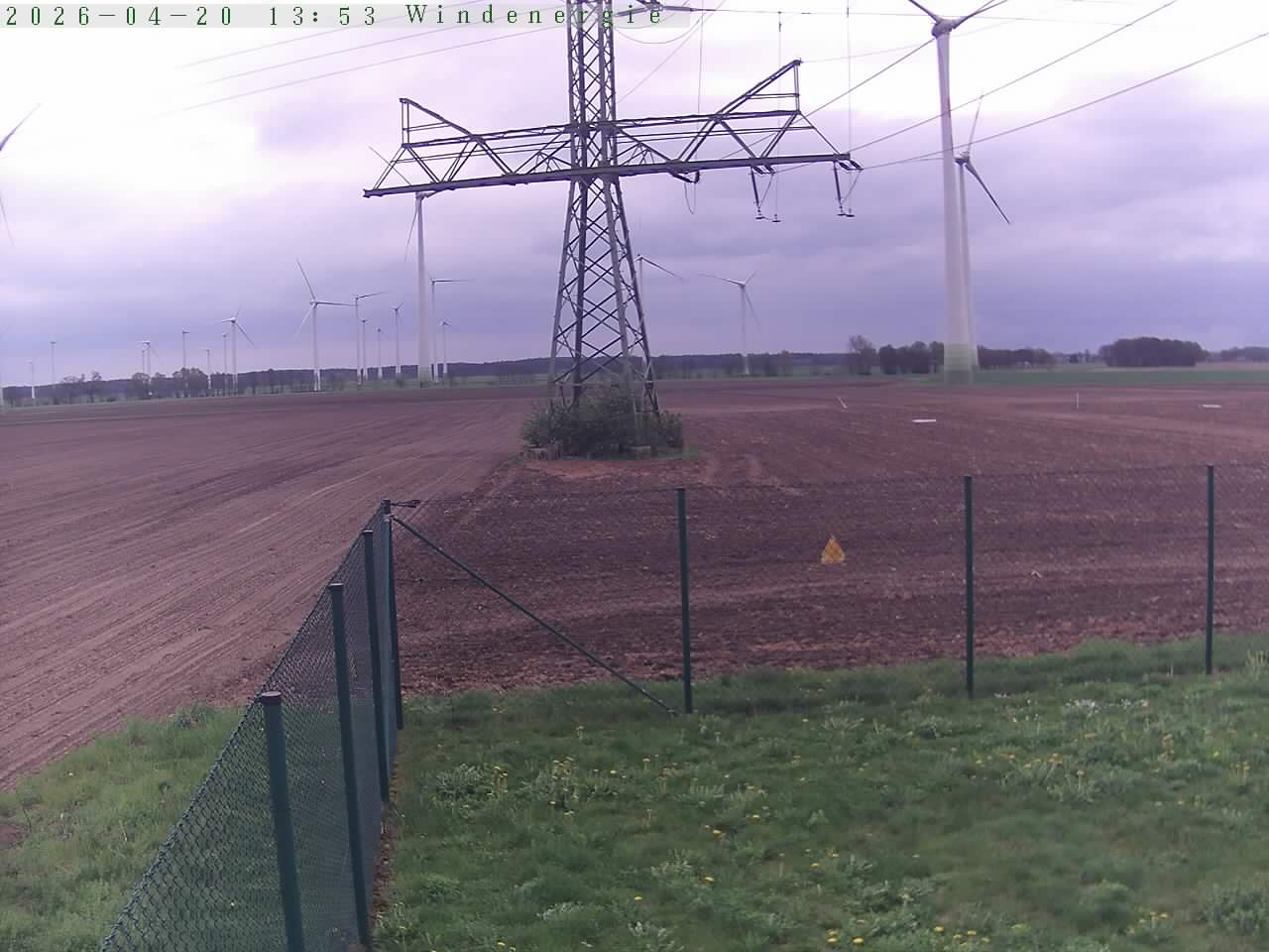 Bild 223