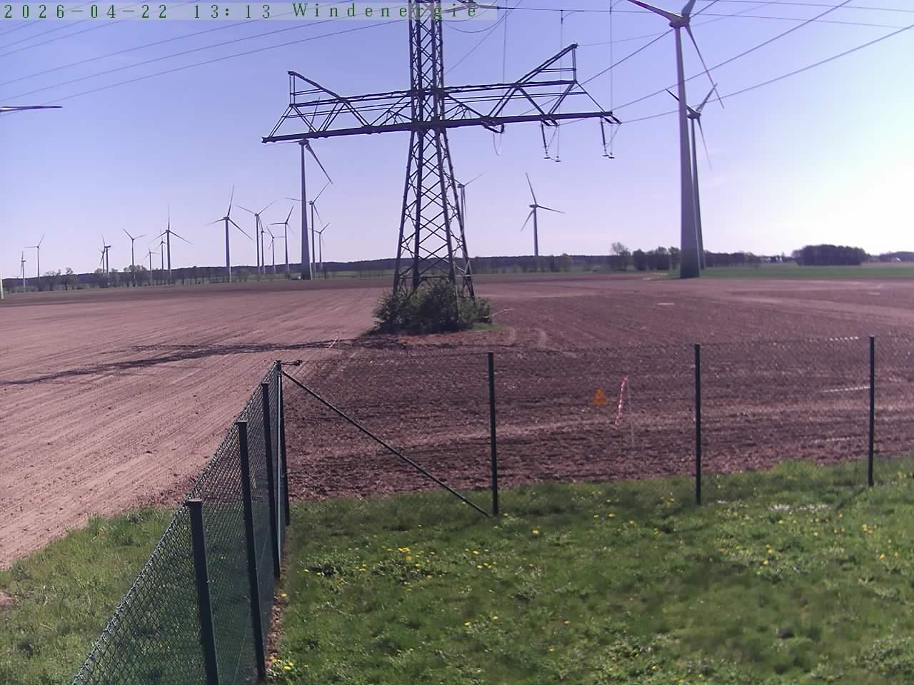 Bild 194