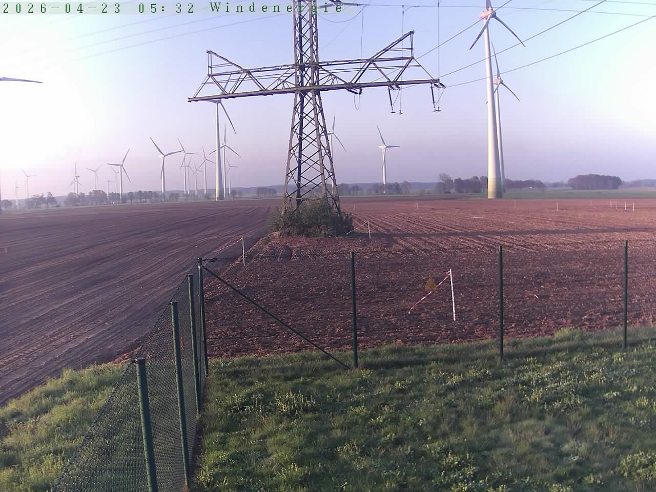 Bild 184
