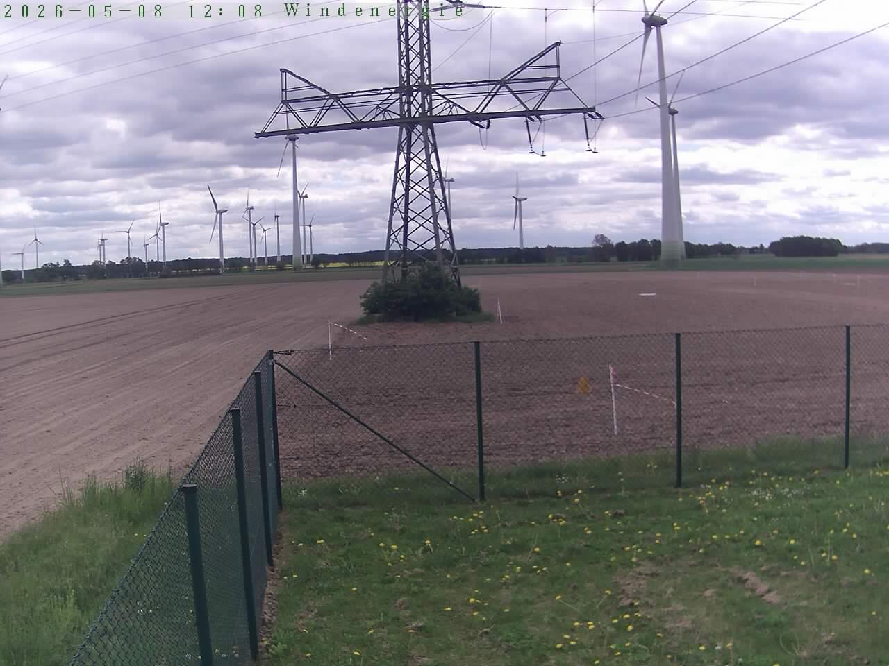 Bild 619