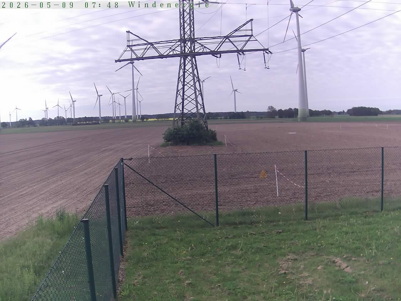 Bild 607