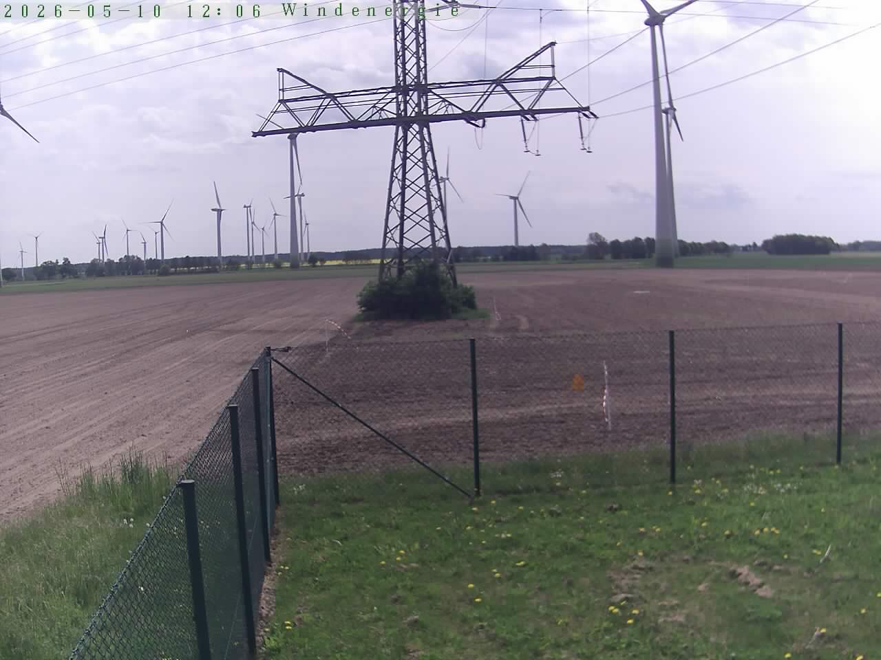 Bild 590