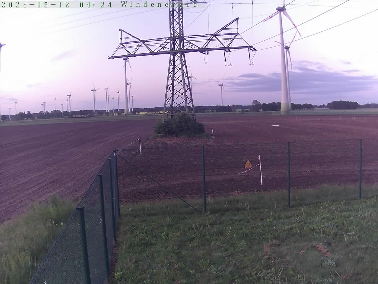 Bild 565