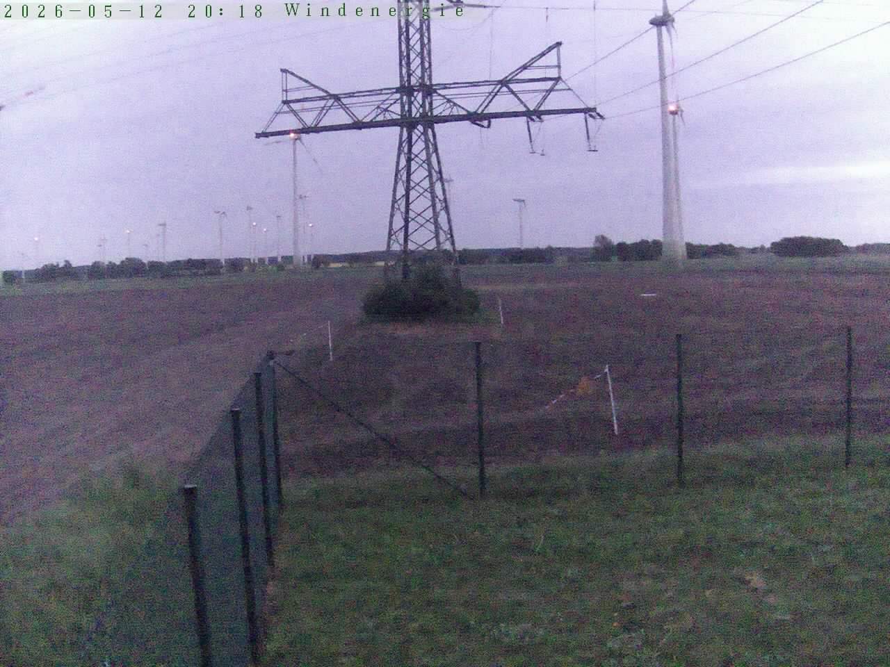 Bild 555