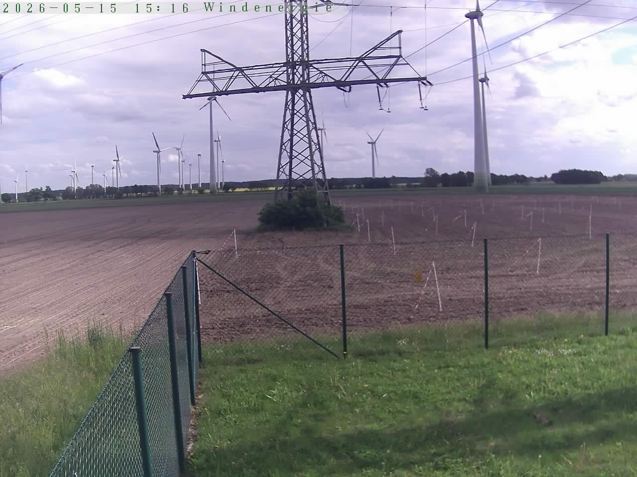 Bild 513