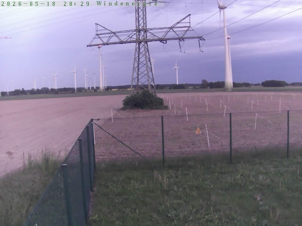 Bild 466