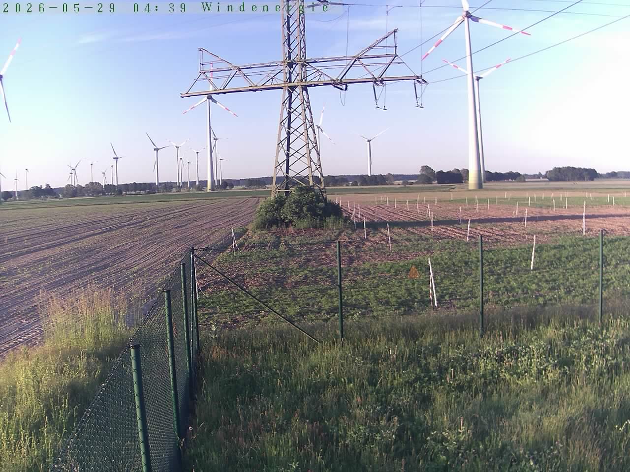 Bild 323