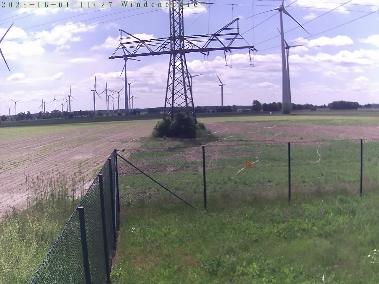 Bild 277