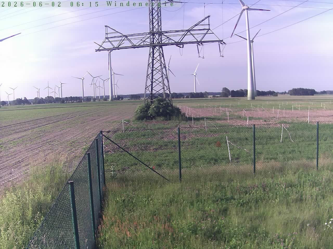Bild 266