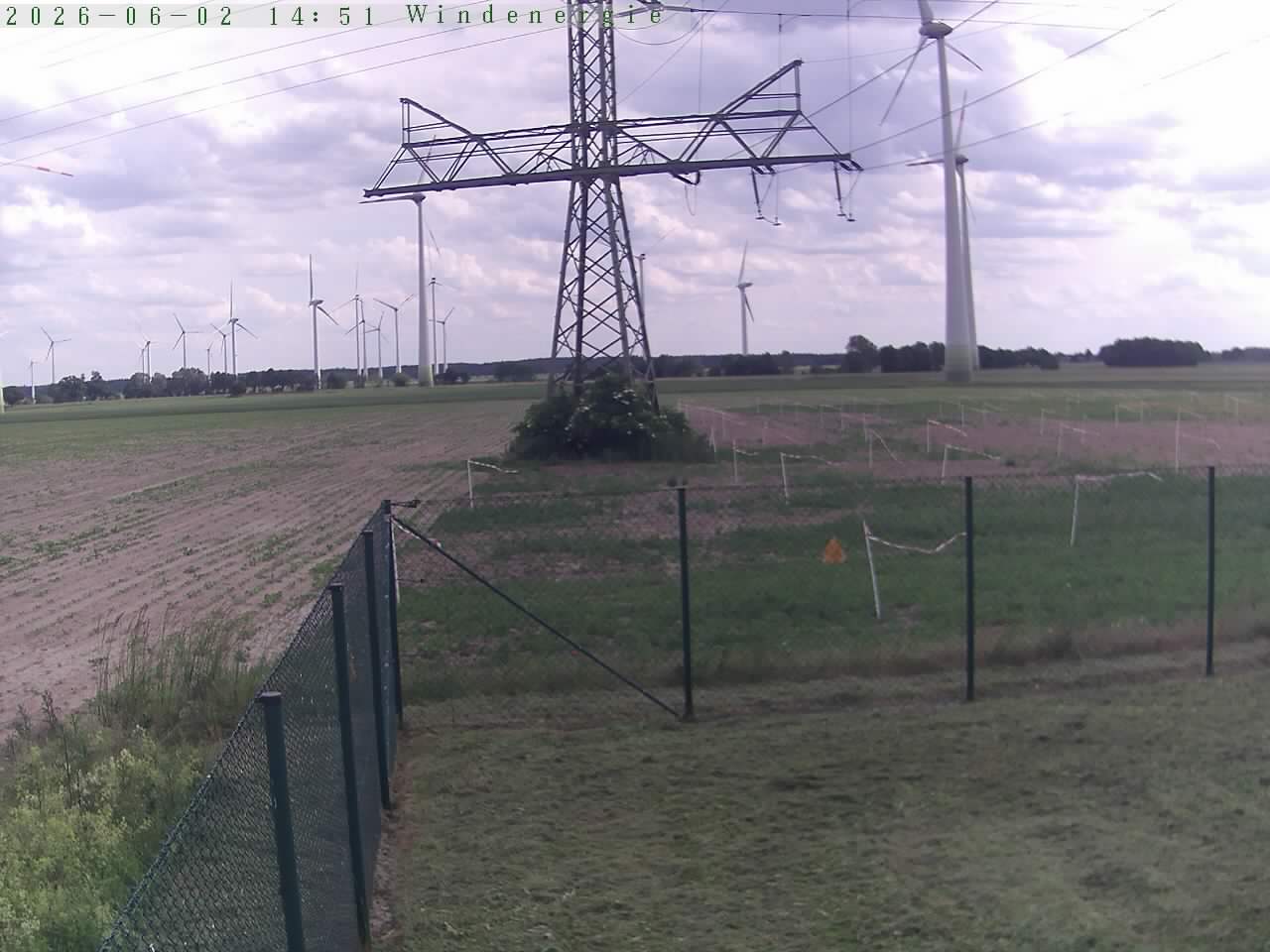 Bild 261