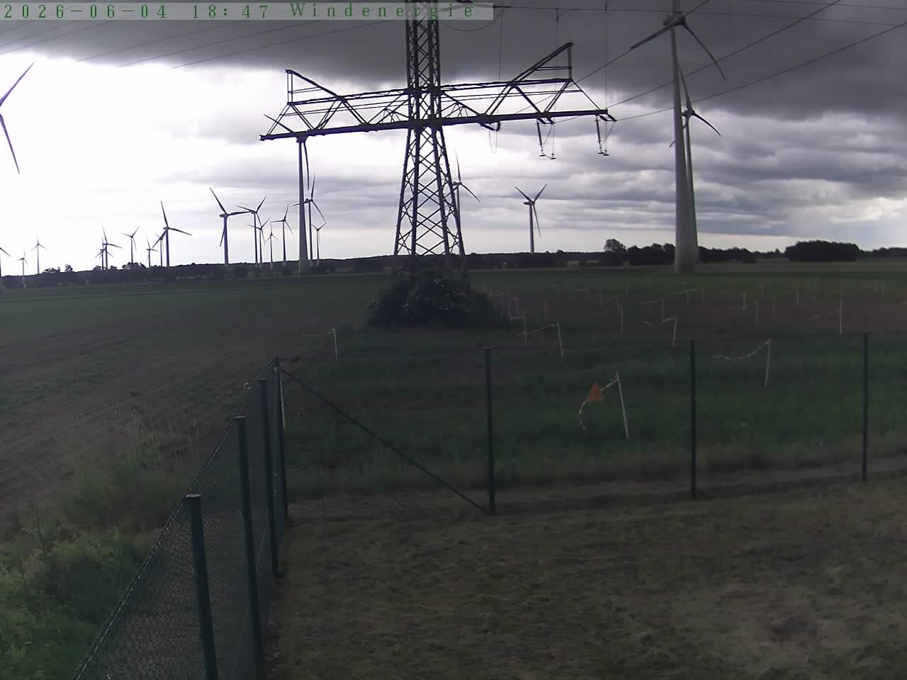 Bild 230