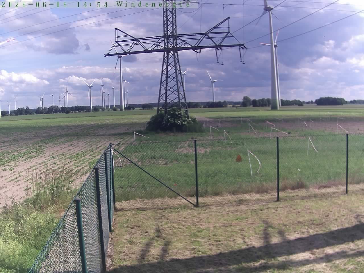 Bild 203