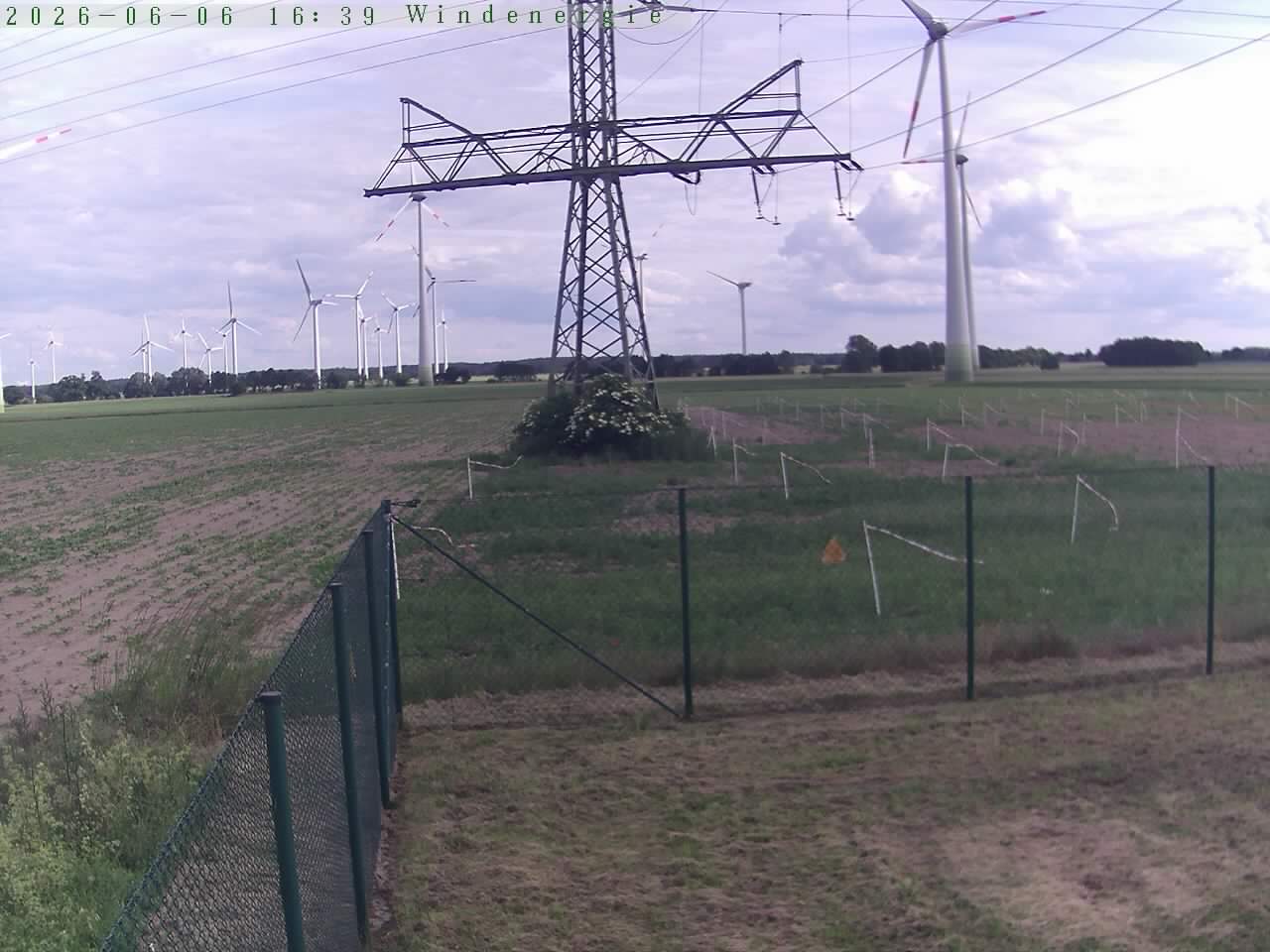Bild 202