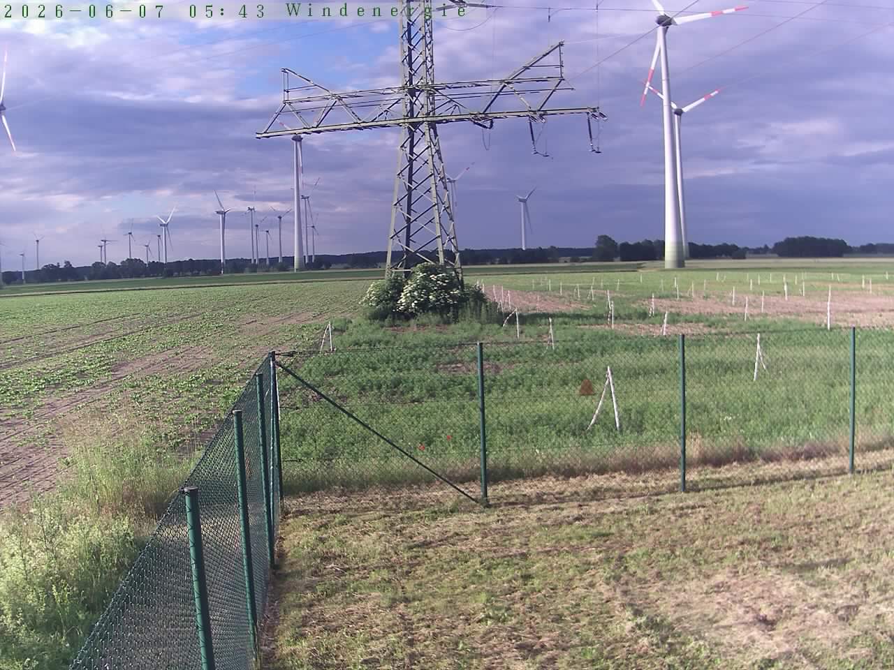 Bild 194