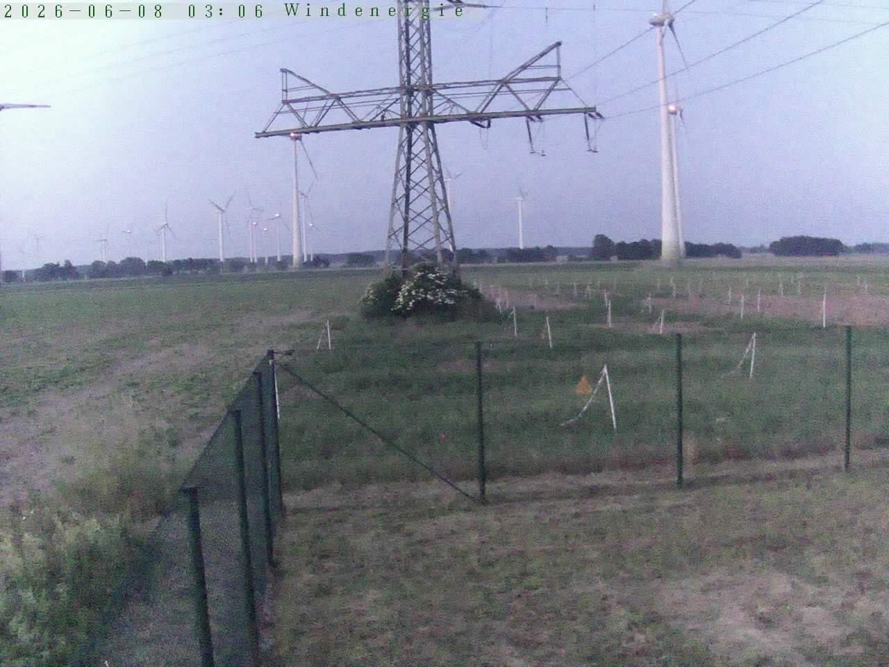 Bild 181