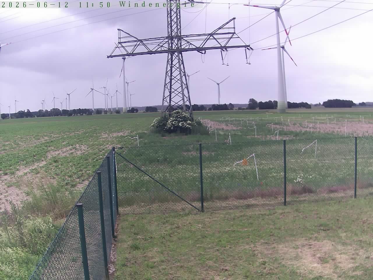 Bild 116
