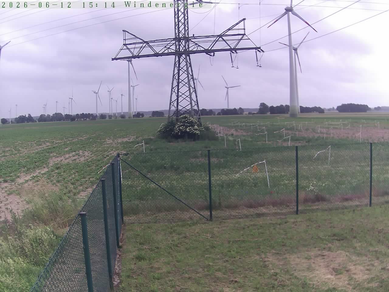 Bild 113